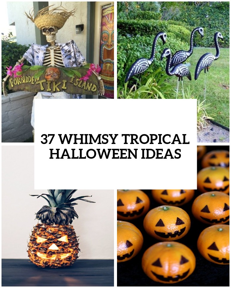 whimsy and bold tropical halloween ideas cover