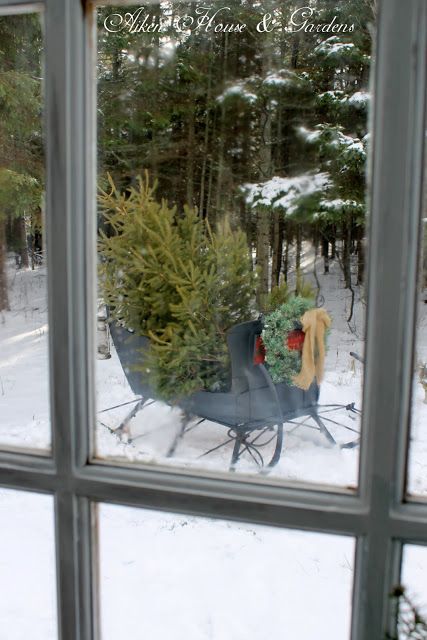 a tree can be left in a real sleigh, looks as if it has just beedn carried by Santa Claus