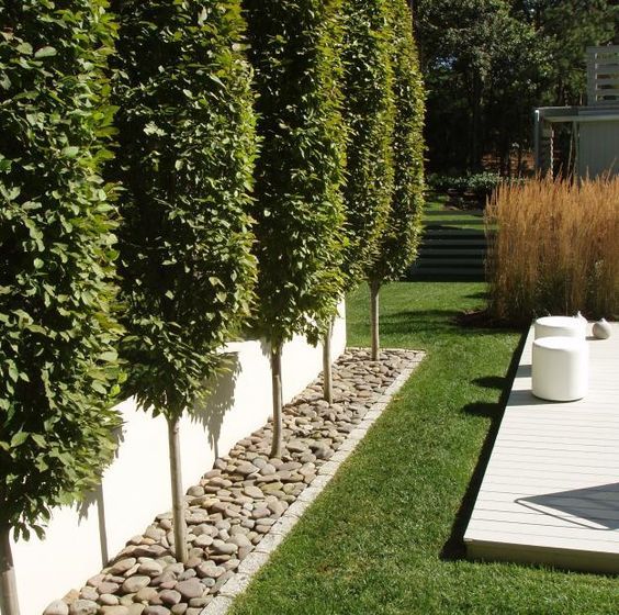 Minimalist Plants To Cover Fence with Electrical Design