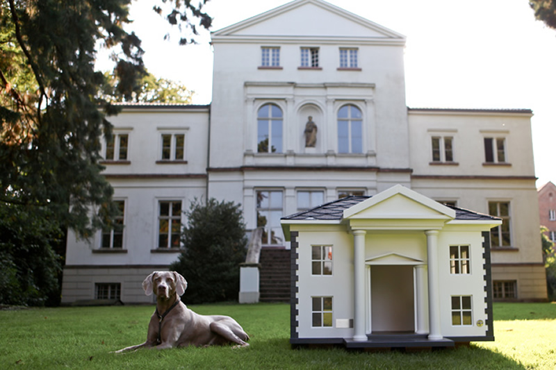 Best Dog House