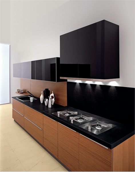 black kitchen cabinets, contemporary kitchen 