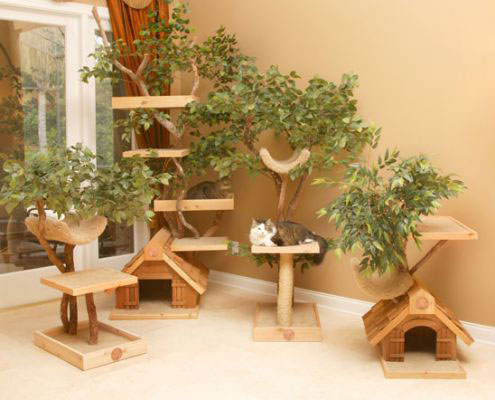 Home Design Interior Ideas on Unique Cat Tree Houses With Real Trees From Pet Tree House   Digsdigs