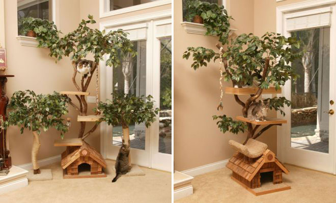 Cat Tree Houses Design