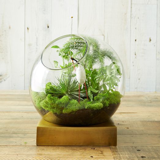 45 adorable spring terrariums for home d 233 cor digsdigs 45 adorable spring terrariums for home d 233 cor digsdigs