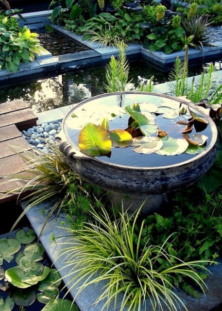 Awesome Mini Ponds To Complete Your Outdoor Decor