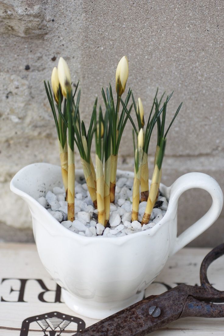 27 Charming Vintage Easter Décor Ideas | DigsDigs