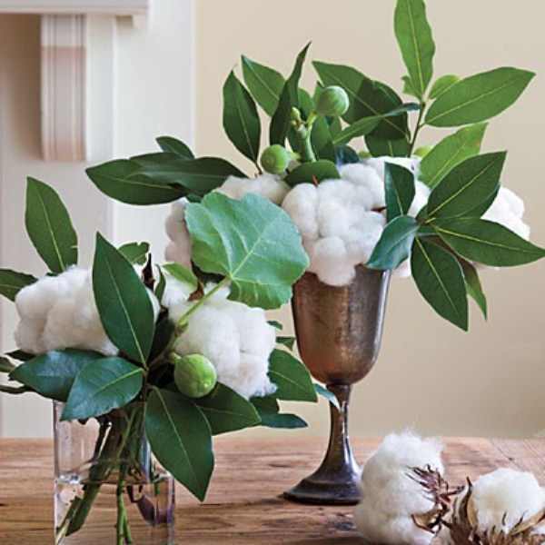 Winter Greens Centerpiece : Charming winter centerpieces digsdigs
