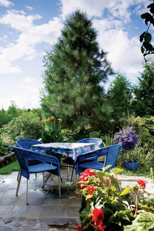 Colorful Gingerbread House With Vintage Furniture