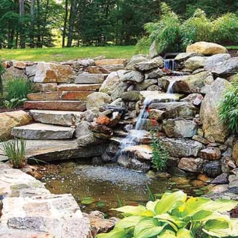 Garden Ponds Design Ideas