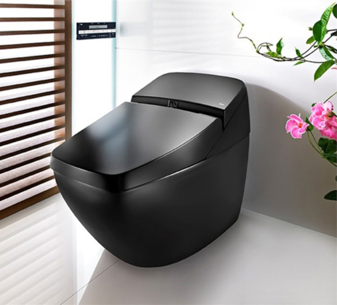 Black Toilet | cool black hi tech toilet lumen avant by roca digsdigs Black Toilet | cool black hi tech toilet lumen avant by roca digsdigs