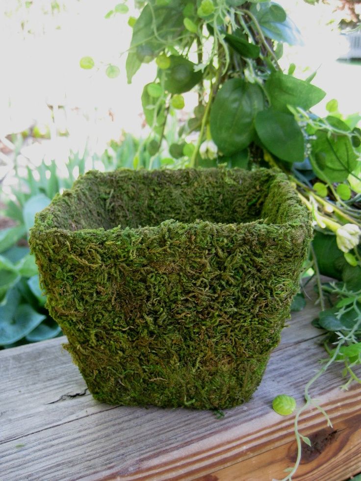 37 cool spring moss outdoor and indoor d 233 cor ideas digsdigs 37 cool spring moss outdoor and indoor d 233 cor ideas digsdigs