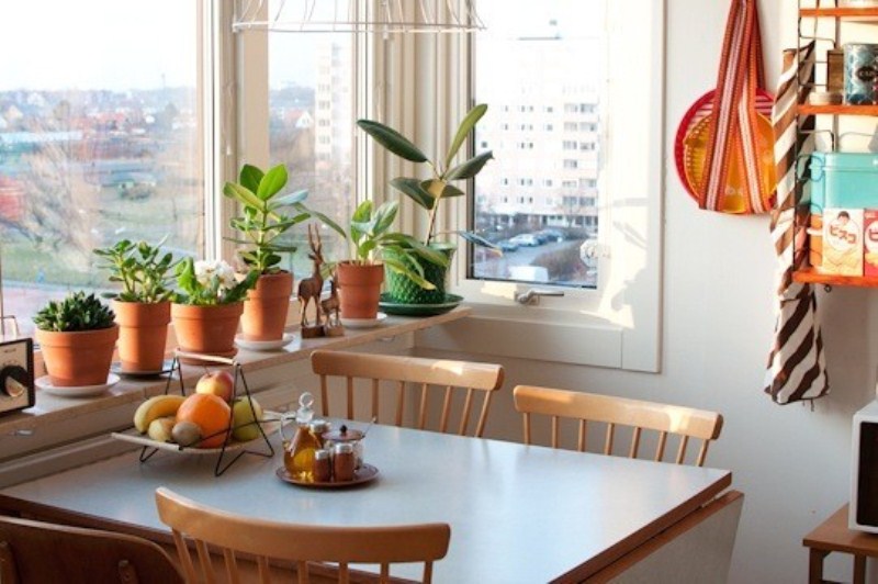 kitchen small plants creative bright dining apartment swedish therapy sunny digsdigs decor indoor hilda highrise areas tiny homemydesign area room