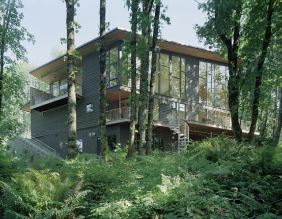 House With Clever Books Storage