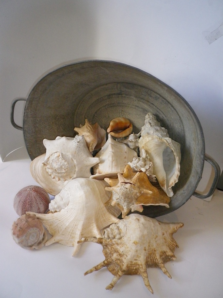 How To Decorate With Seashells: 37 Inspiring Ideas | DigsDigs