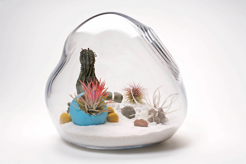 HandBlown Glass Mini Terrariums by Lítill DigsDigs