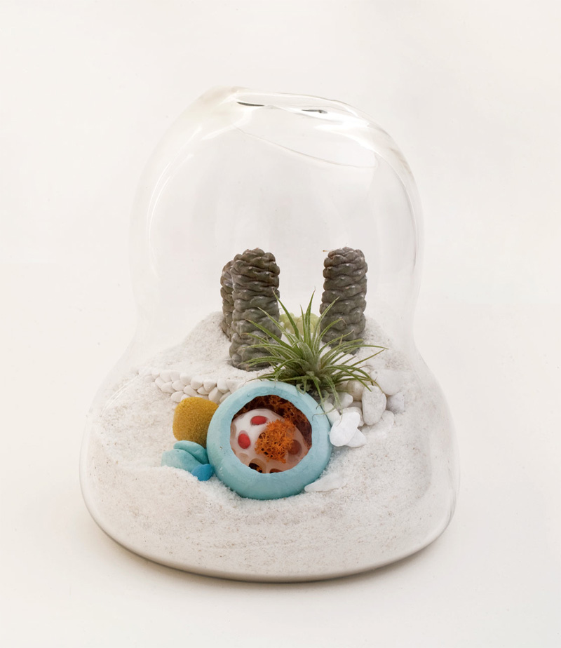 hand blown glass mini terrariums by l 237 till digsdigs hand blown glass mini terrariums by l 237 till digsdigs