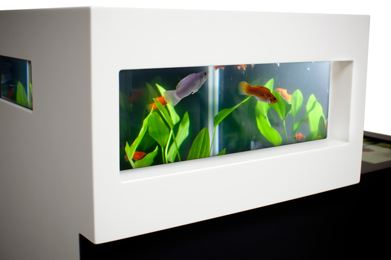Modern Two Level Black and White Aquarium DigsDigs