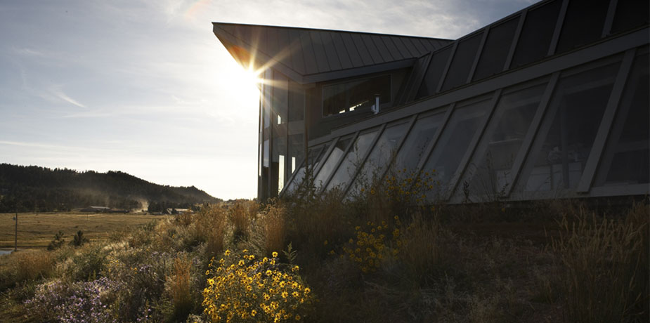 Interior Design Picture Gallery: Modern Ranch House Design – Green 