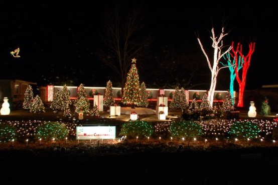 the christmas lights
