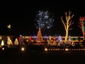 the christmas lights