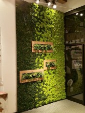 peaceful-indoor-living-wall-designs-for-any-home-15 - DigsDigs
