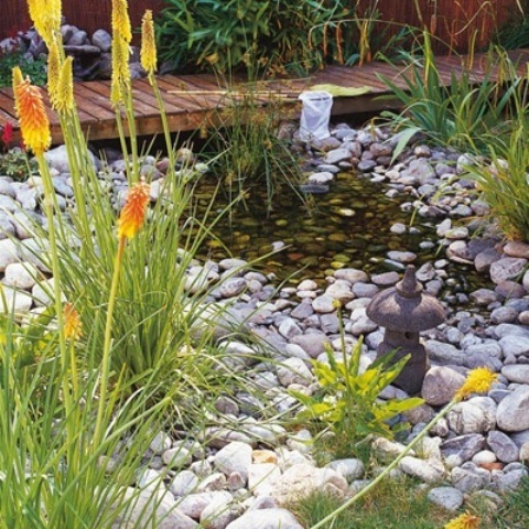 garden design