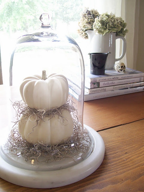 Pure White Halloween Elegant Ideas