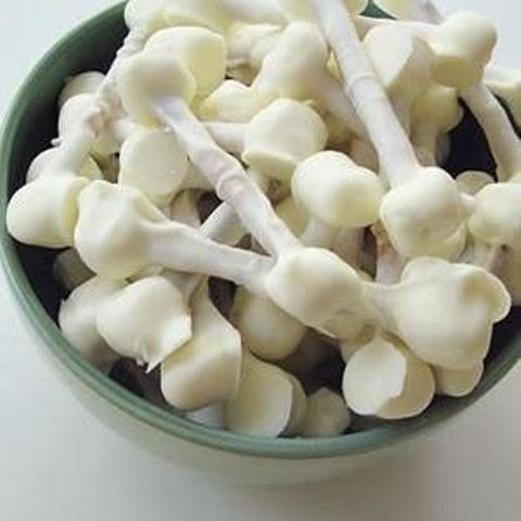 Pure White Halloween Elegant Ideas