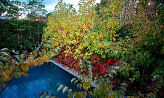 Rear Garden Ideal For Catching Sun And Diping Into Pool