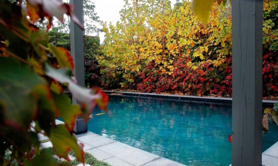 Rear Garden Ideal For Catching Sun And Diping Into Pool