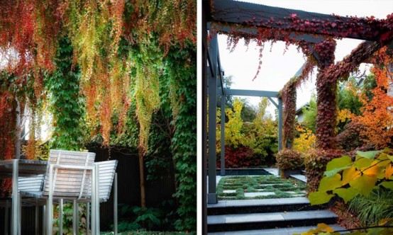 Rear Garden Ideal For Catching Sun And Diping Into Pool