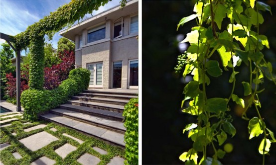 Rear Garden Ideal For Catching Sun And Diping Into Pool