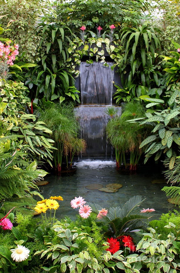 garden backyard waterfalls relaxing pond water waterfall landscaping gardens yard patio ponds tropical outdoor fountains fountain plants feature gardening planting