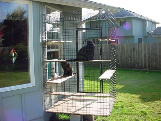 26 Safe And Smartly Organized Outdoor Cat Areas DigsDigs