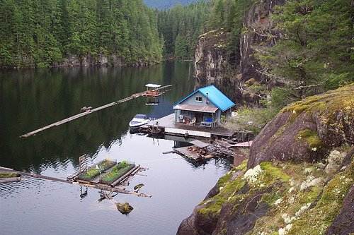 smallcabin_floating_house-2