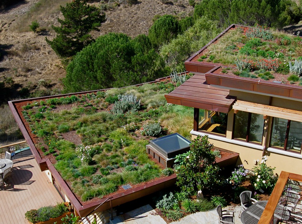 green house,green house design,house with green roof,roof house,rooftop garden,green house designs