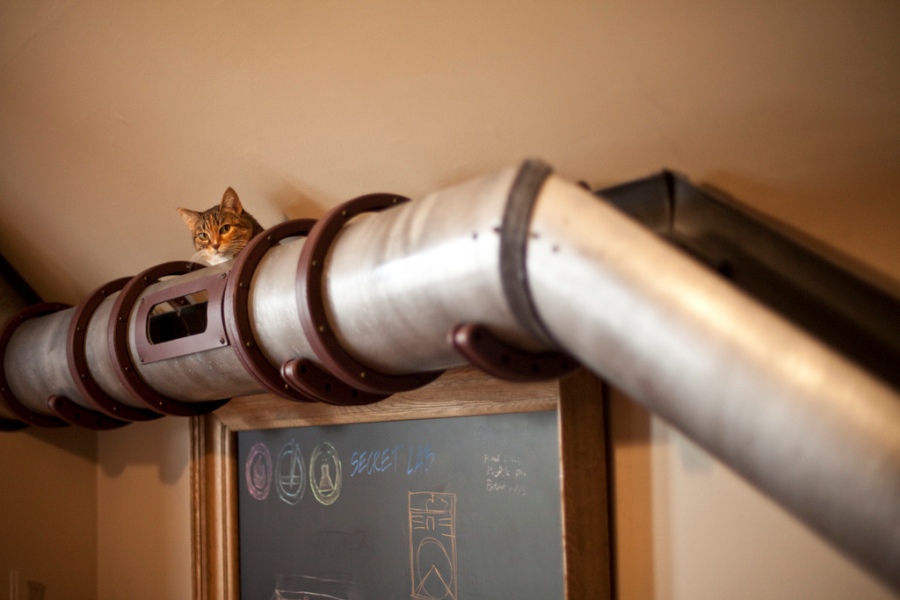 unique cat tunnel in steunk style right at a home unique cat tunnel in steunk style right at a home