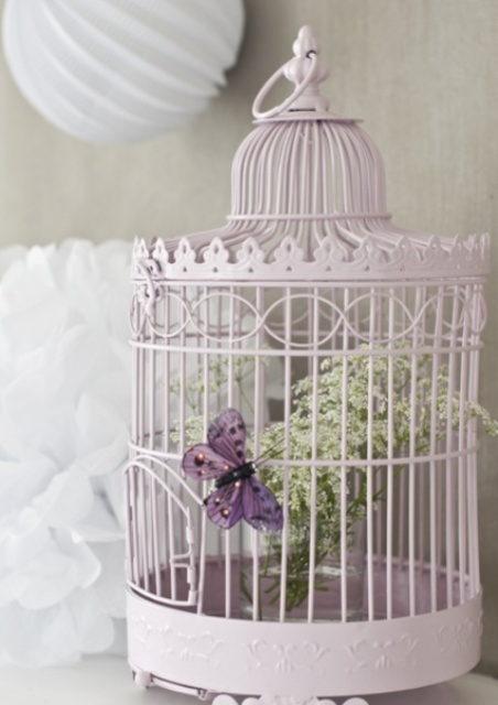      using-bird-cages-for