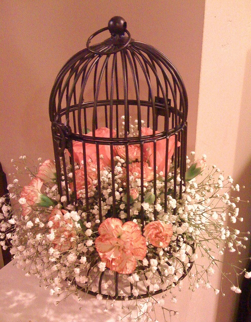      using-bird-cages-for