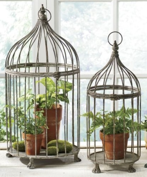 46 Cool Bird Cages Decor Ideas - Decorating Ideas