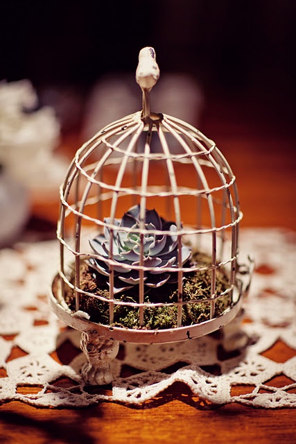 Using bird cages for home decor beautiful ideas 44