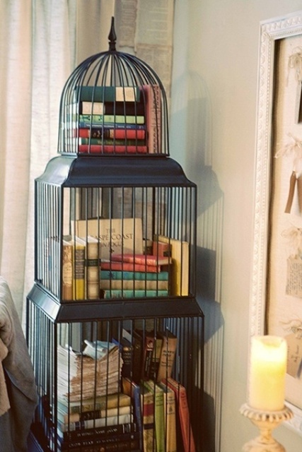      using-bird-cages-for