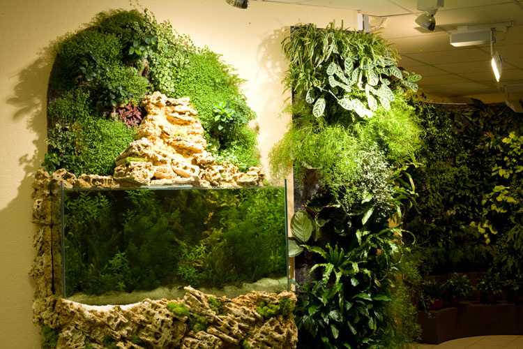 lot of knowledge about plants for that anyway vertical gardens always ...