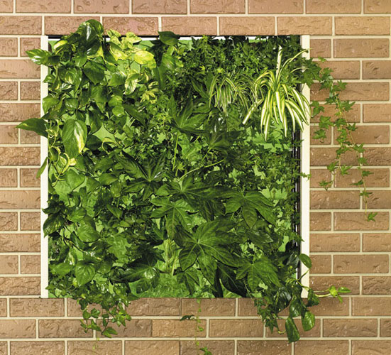 lot of knowledge about plants for that anyway vertical gardens always ...