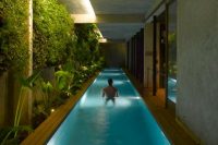 04 long and narrow indoor pool with an indoor garden