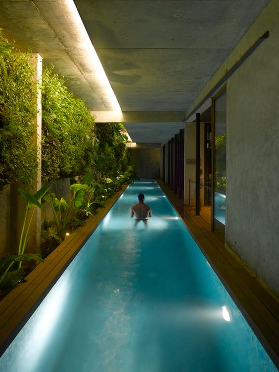 long and narrow indoor pool with an indoor garden