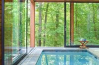 18 a pool inside a glass house to merge with nature