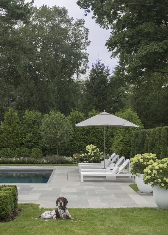 an elegant garden with greenery and trees, potted blooms, a pool, a neutral stone tile deck and some loungers
