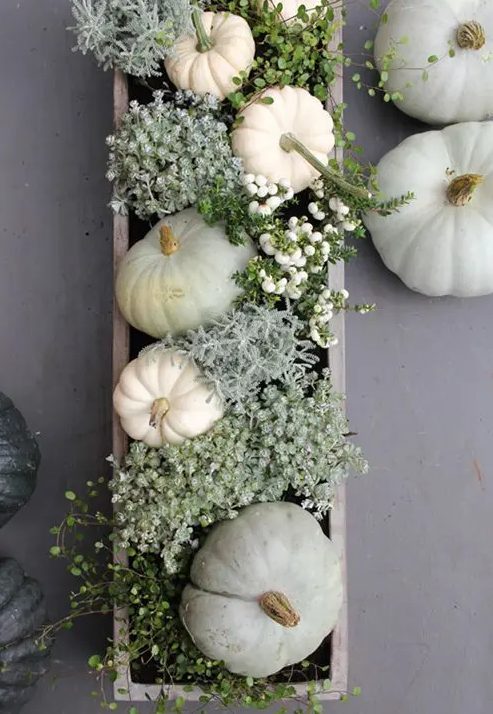 a classy rustic Thanksigiving centerpiece of a white box, white pumpkins, berries and pale greenery is a very cool idea