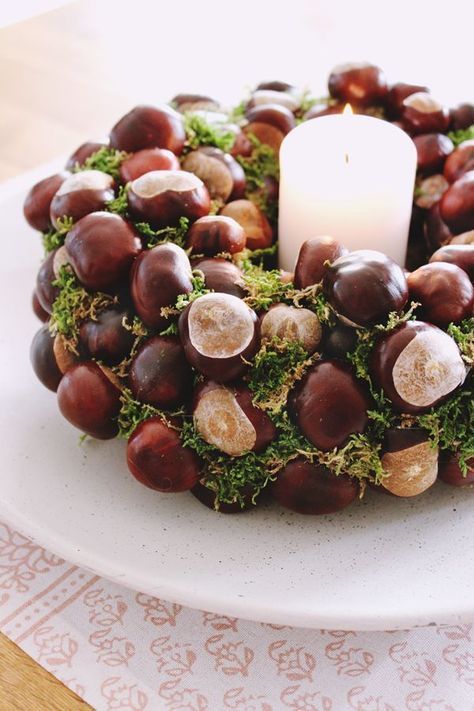 a wreath of chestnuts and moess plus a pillar candle in the center for an easy and cool Thanksgiving centerpiece